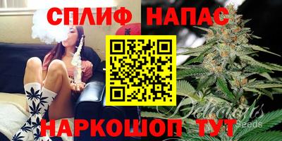 сатива Кинель