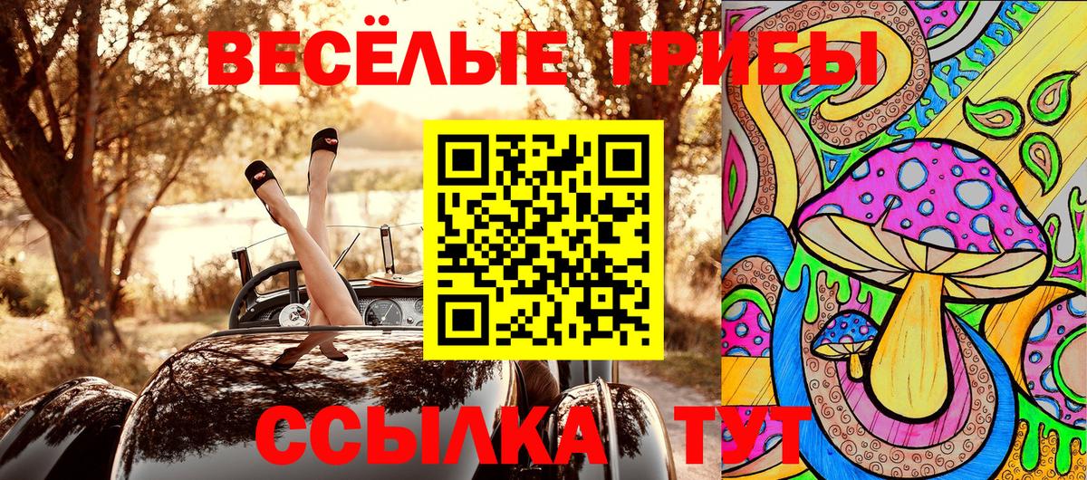 Псилоцибиновые грибы ЛСД  Вход с VPN  Красногорск  Псилоцибиновые грибы Psilocybe 