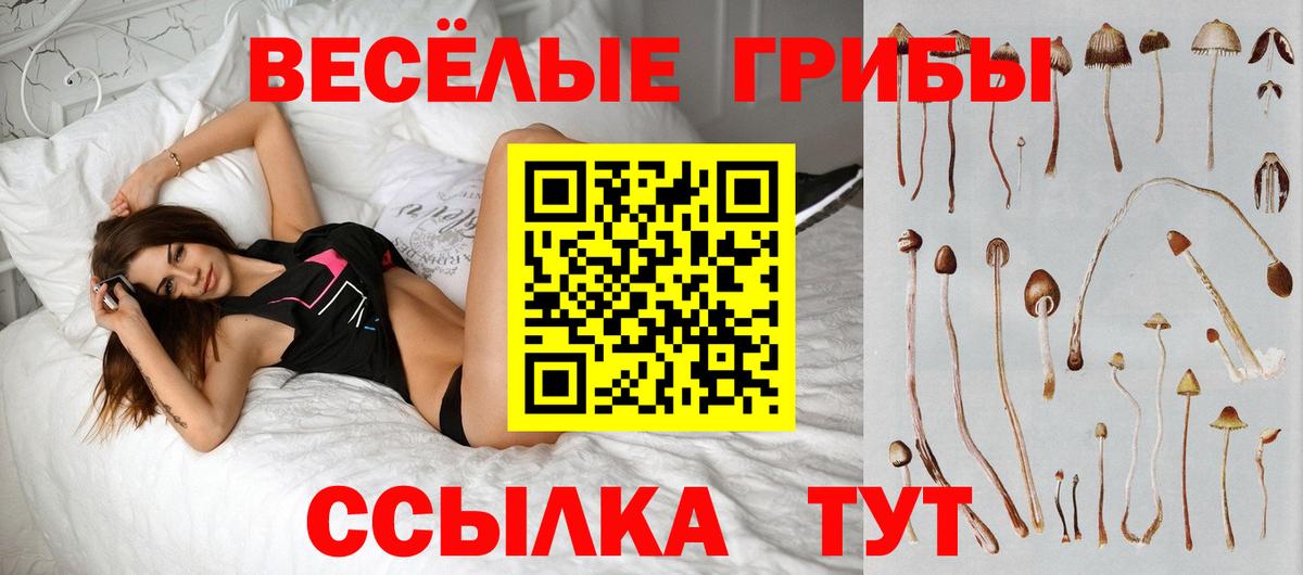 Псилоцибиновые грибы ЛСД Красногорск